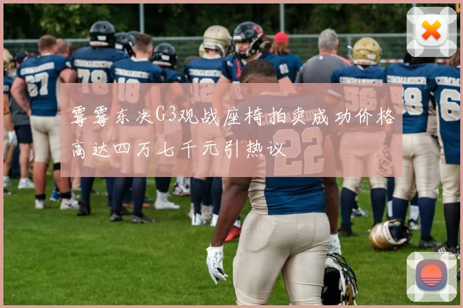 霉霉东决G3观战座椅拍卖成功价格高达四万七千元引热议