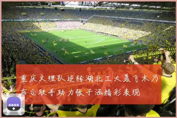 重庆文理队逆转湖北工大聂飞木乃布合联手助力张子涵精彩表现